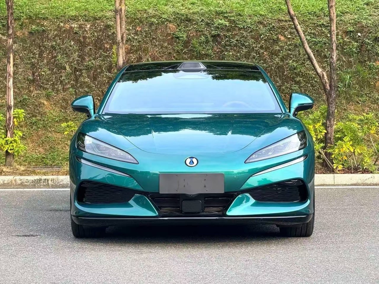 Denza Z9GT — фото автомобиля
